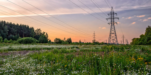 Blog - Green Tariff - 1200x600px