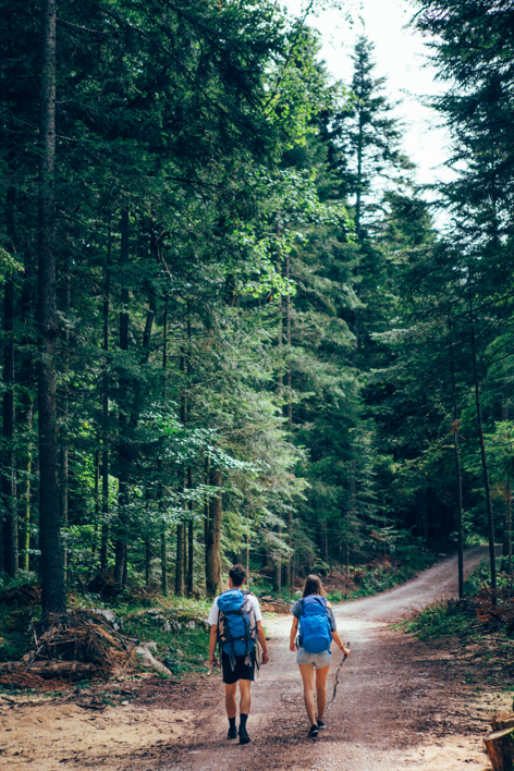 hikers