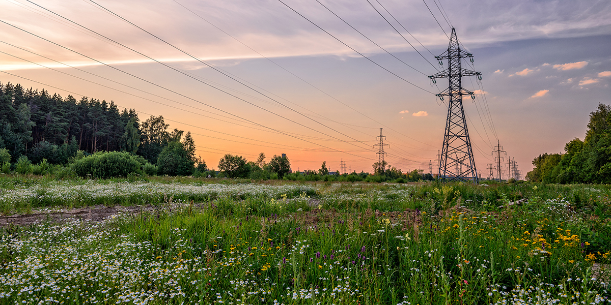 power line